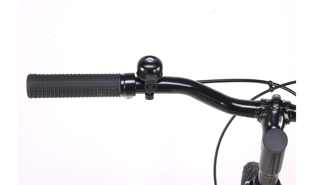 Pigecykel 24