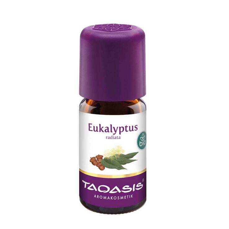 Eukalyptus radiata Öl Bio, 5 ml