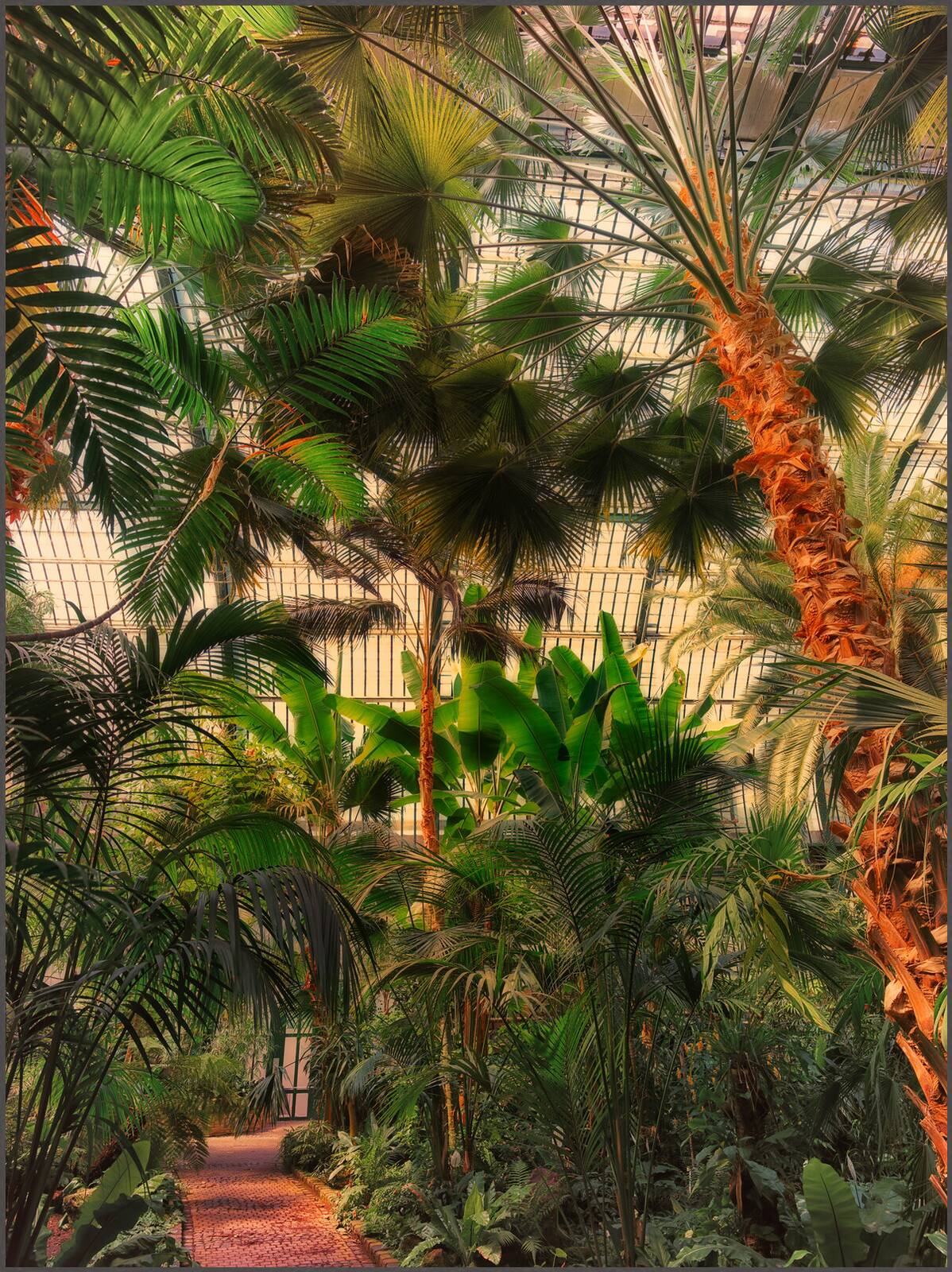 Palmengarten Frankfurt VII by Werner Pawlok - Limited Edition. Edition of: 150. Signed.