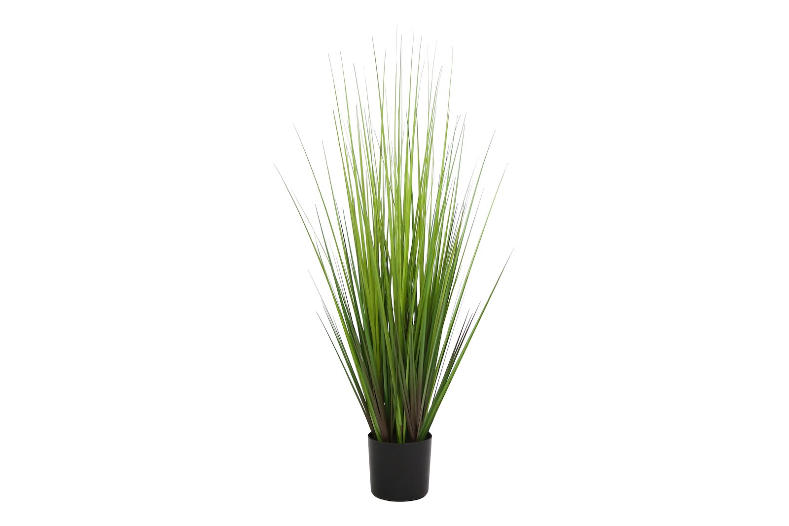 Ås gress potteplante Grønn H90 cm