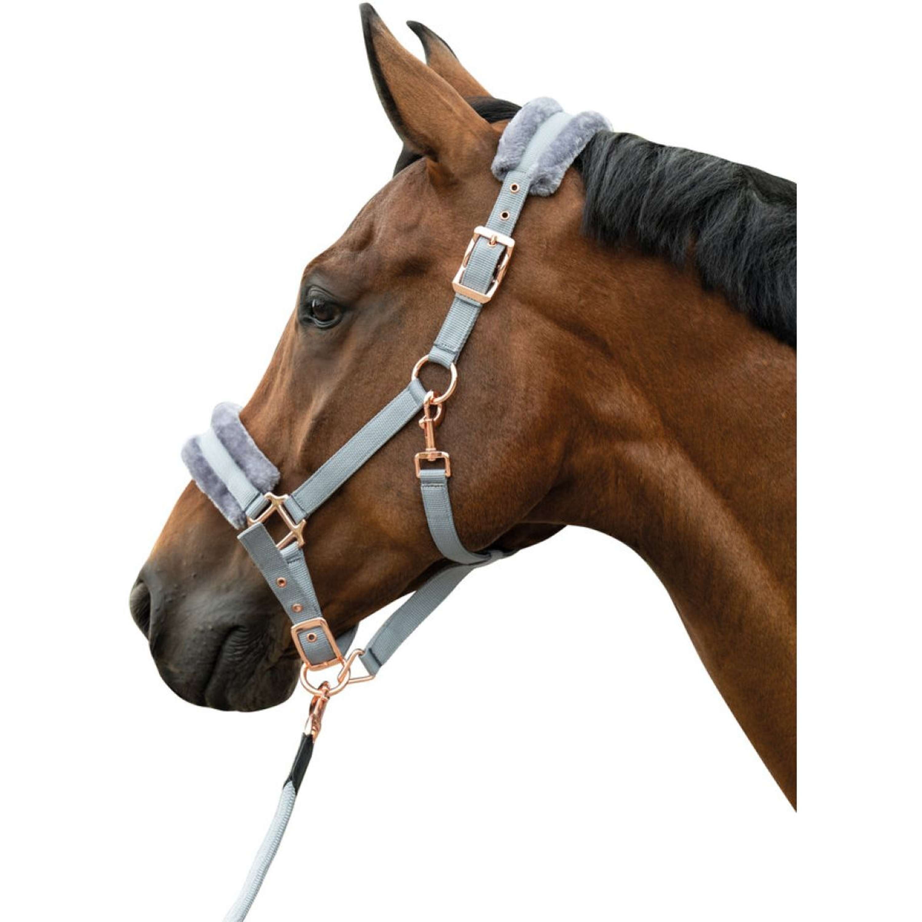 HKM Halster Rosegold Glamour Roségoud