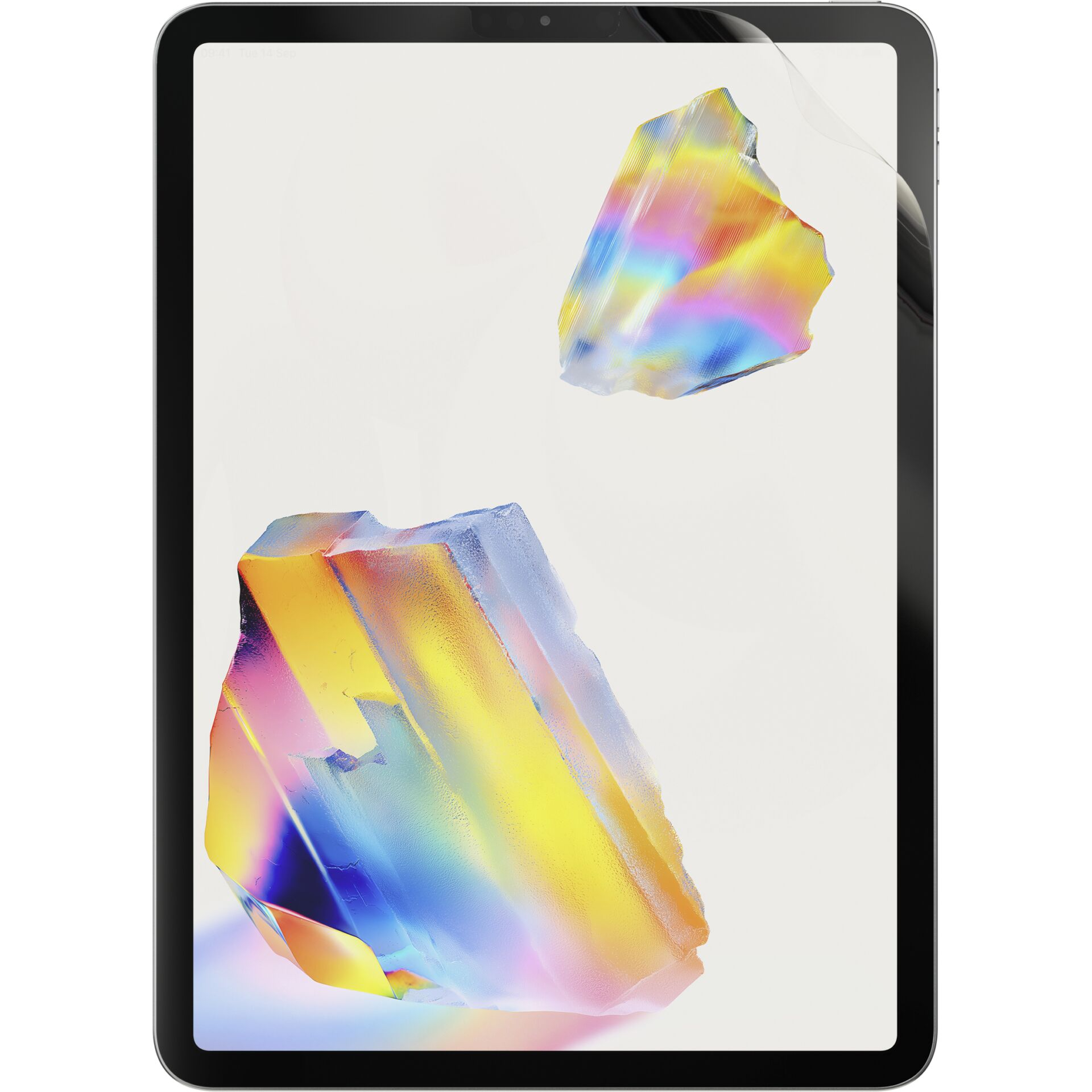 (2er Set) iPad Pro 12.9