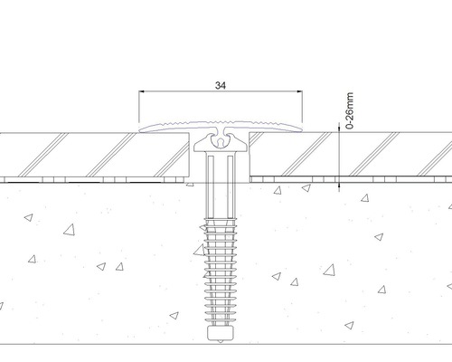 SKANDOR afstelprofiel champagne geanodiseerd incl. deuvel 2,5x34x900 mm