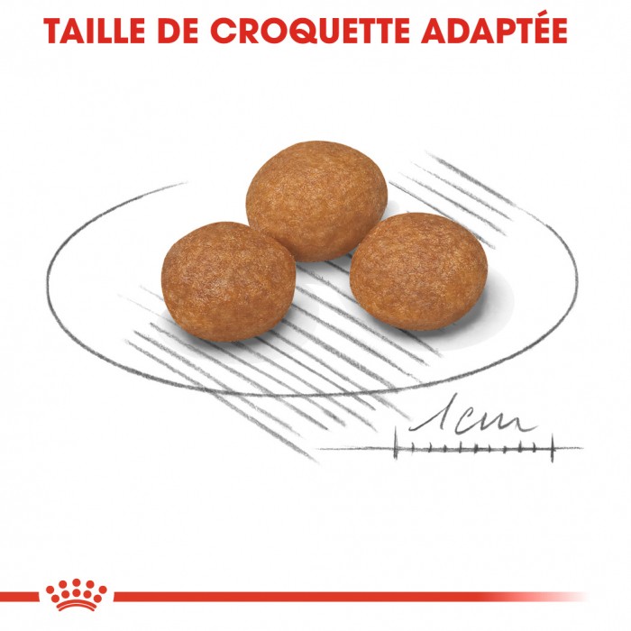Royal Canin X-Small Adult 8+