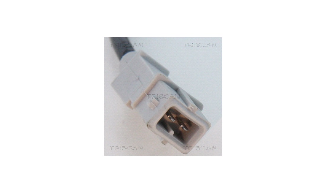 ABS sensor