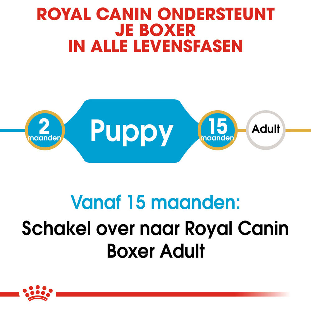 Royal Canin Boxer Puppy - Hondenvoer