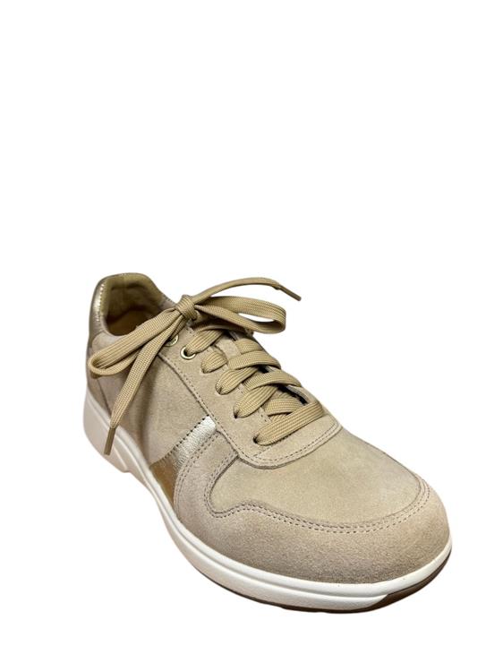 Xsensible 30228.2 Modena Beige