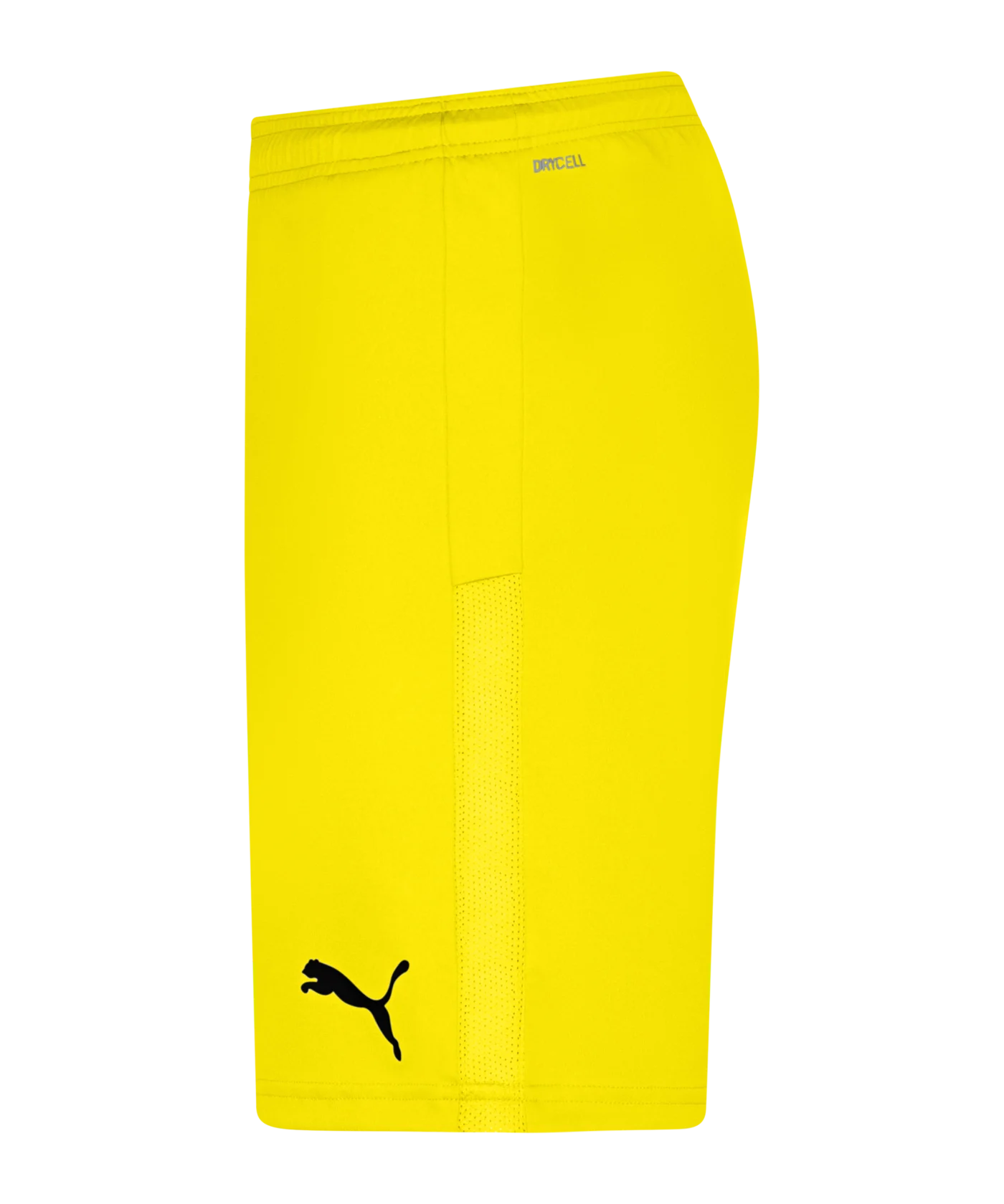 PUMA teamGOAL 23 Knit Short Gelb F07