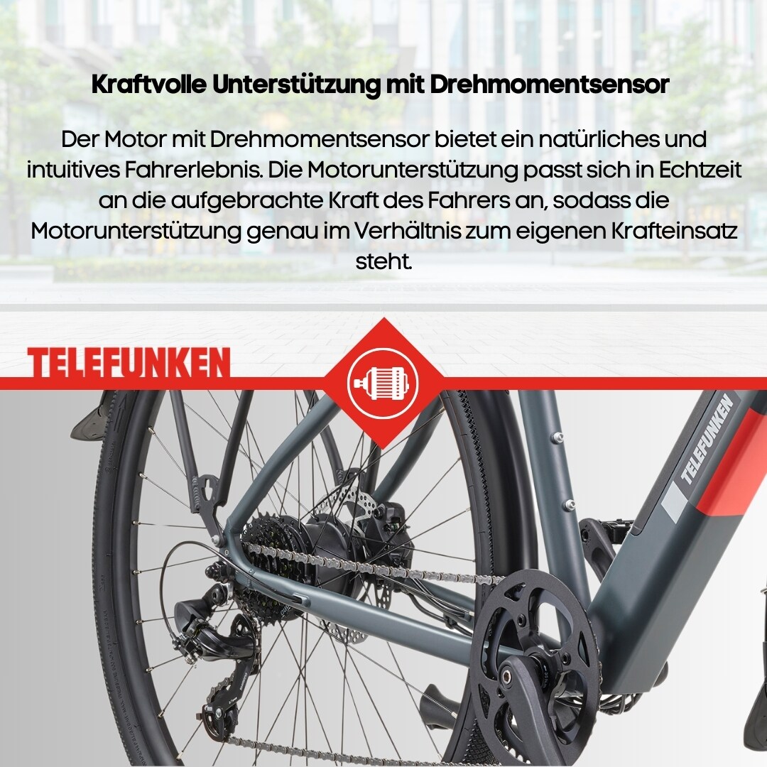TELEFUNKEN UH210 E-Urban-Bike Herren 28