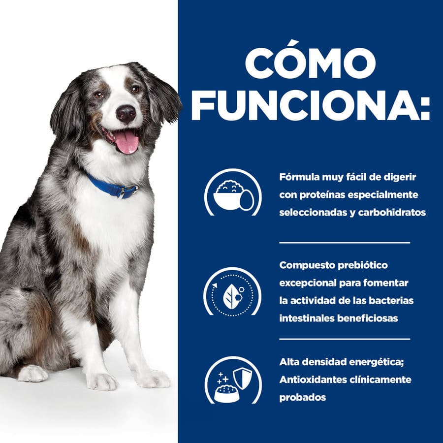 Ração para cães Hill's Prescription Diet Digestive Care i/d