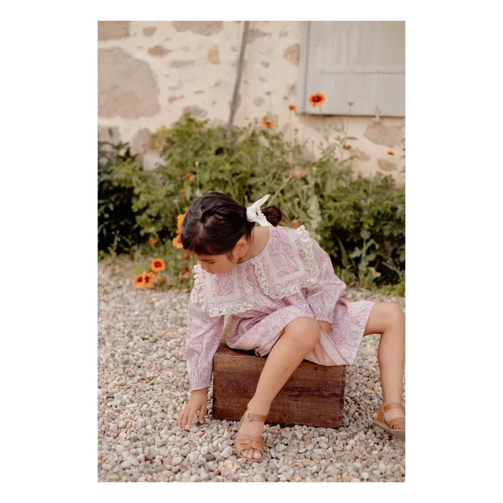 Louise Misha Robe Arinola Col Dentelle | Rose