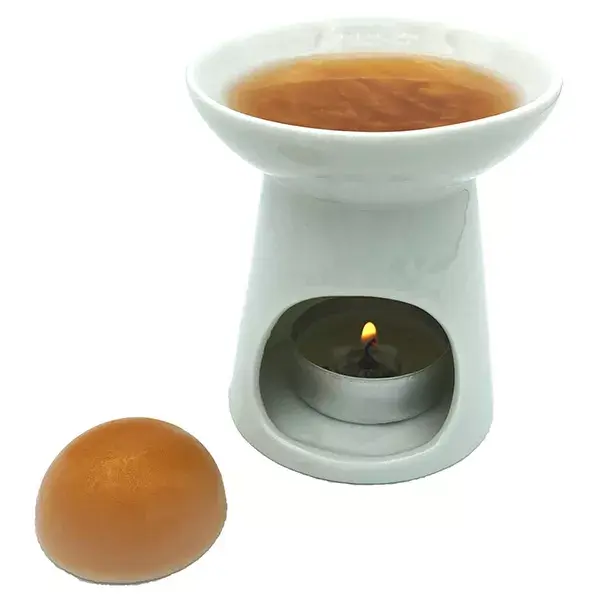 Conjunto de pastilhas aromáticas Lov'FROG, fragrância para ambientes 09:09, amadeirado, floral, atalcado, orgânico, 6 unidades.