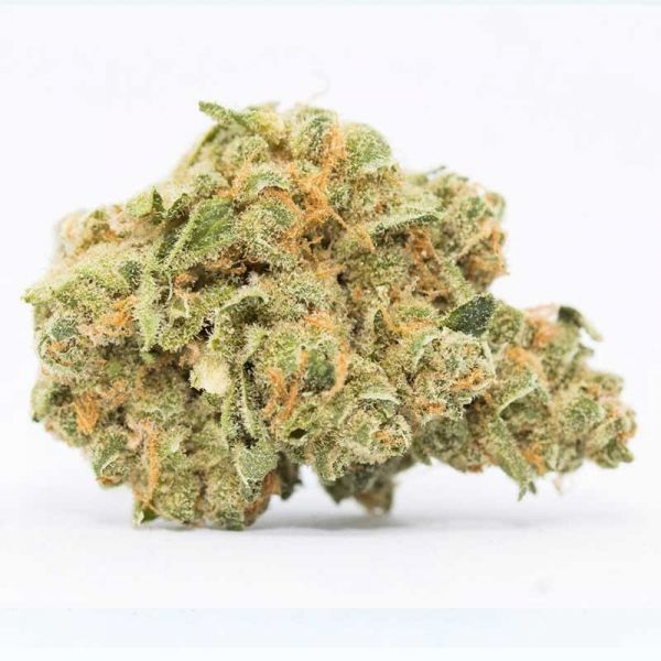 Cannactiva CBD Flower Premium Nova York Diesel 2g