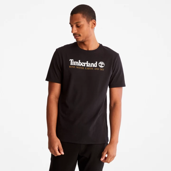 Camiseta masculina preta com estampa de vento, água, terra e céu.