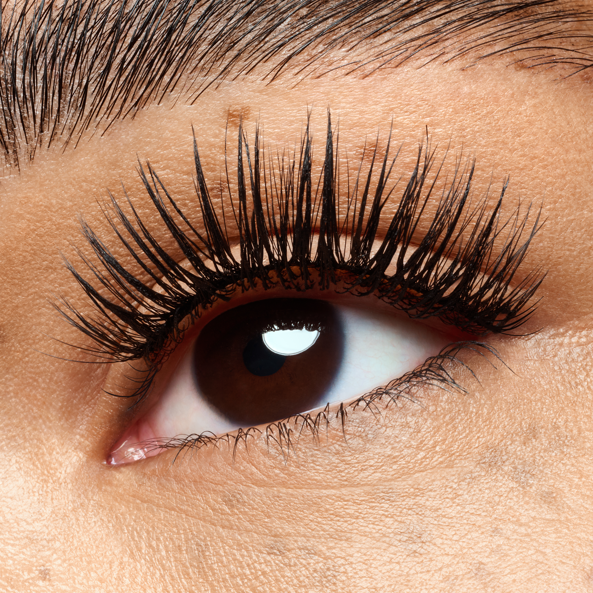 what the FAKE! false lashes