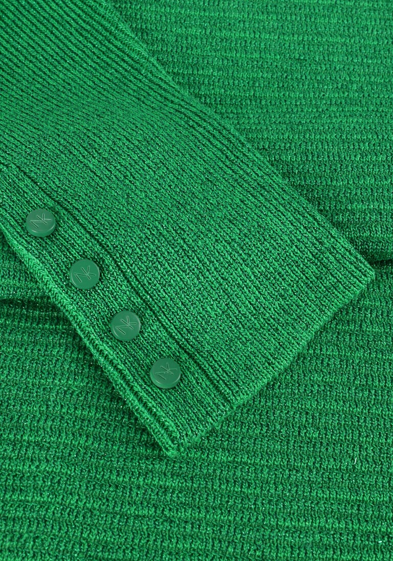 NUKUS groene nukus trui batwing pullover lurex