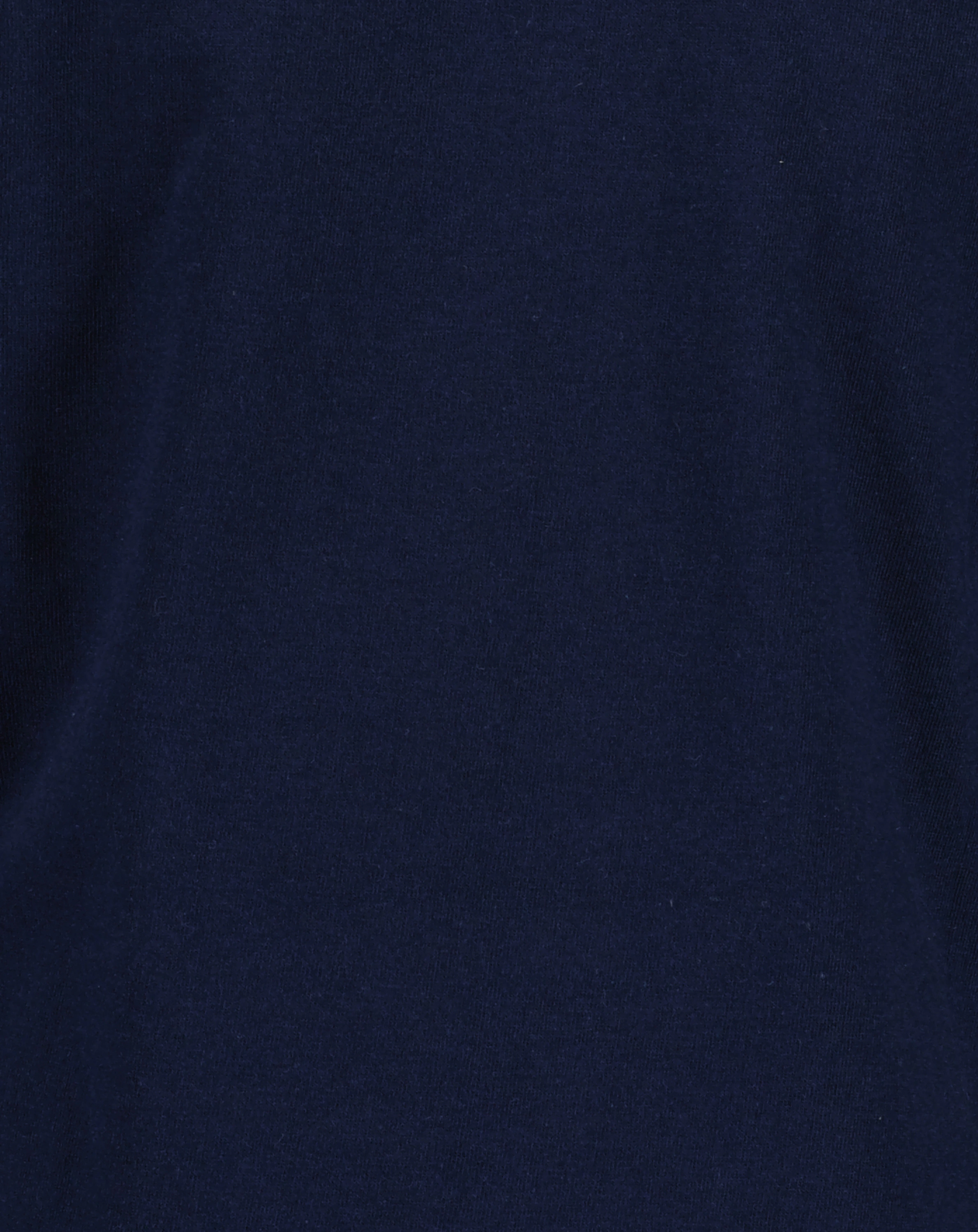 Langarmshirt WILD ONE in ultramarin
