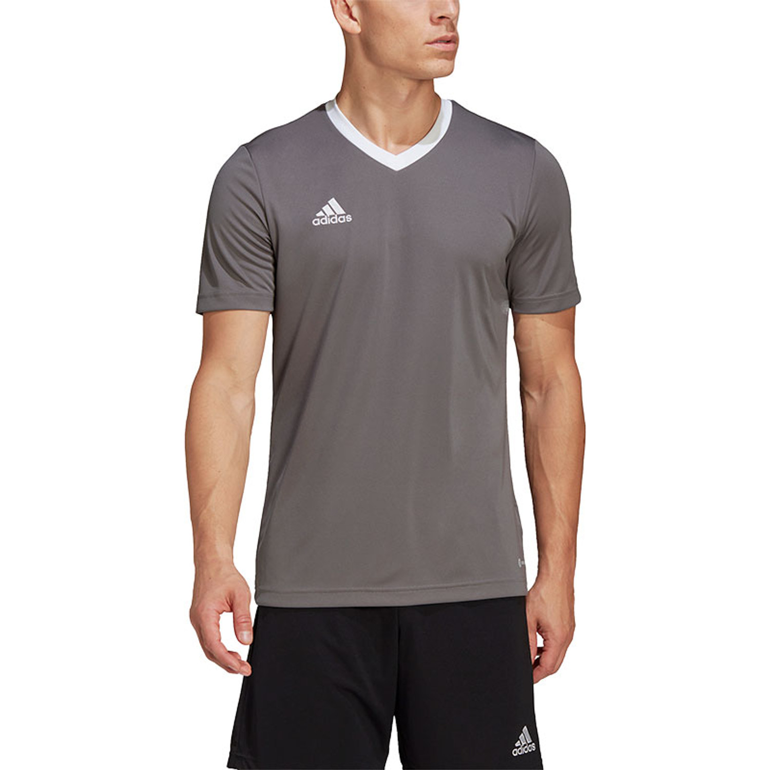 adidas Entrada 22 Training Shirt