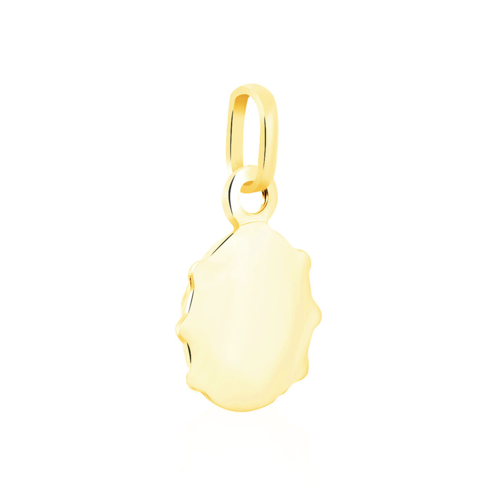 Pendentif Fedelina Coccinelle Or Jaune