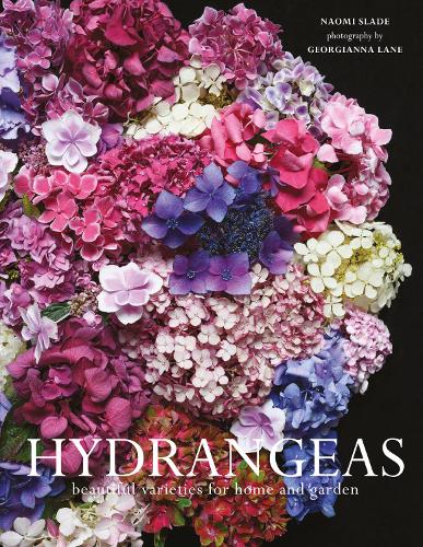 Hydrangeas: Beautiful Varieties for Home and Garden (Hardback)