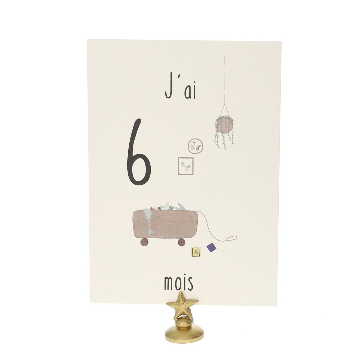 Lot de 12 cartes Ma première année de bébé Atelier jasmin