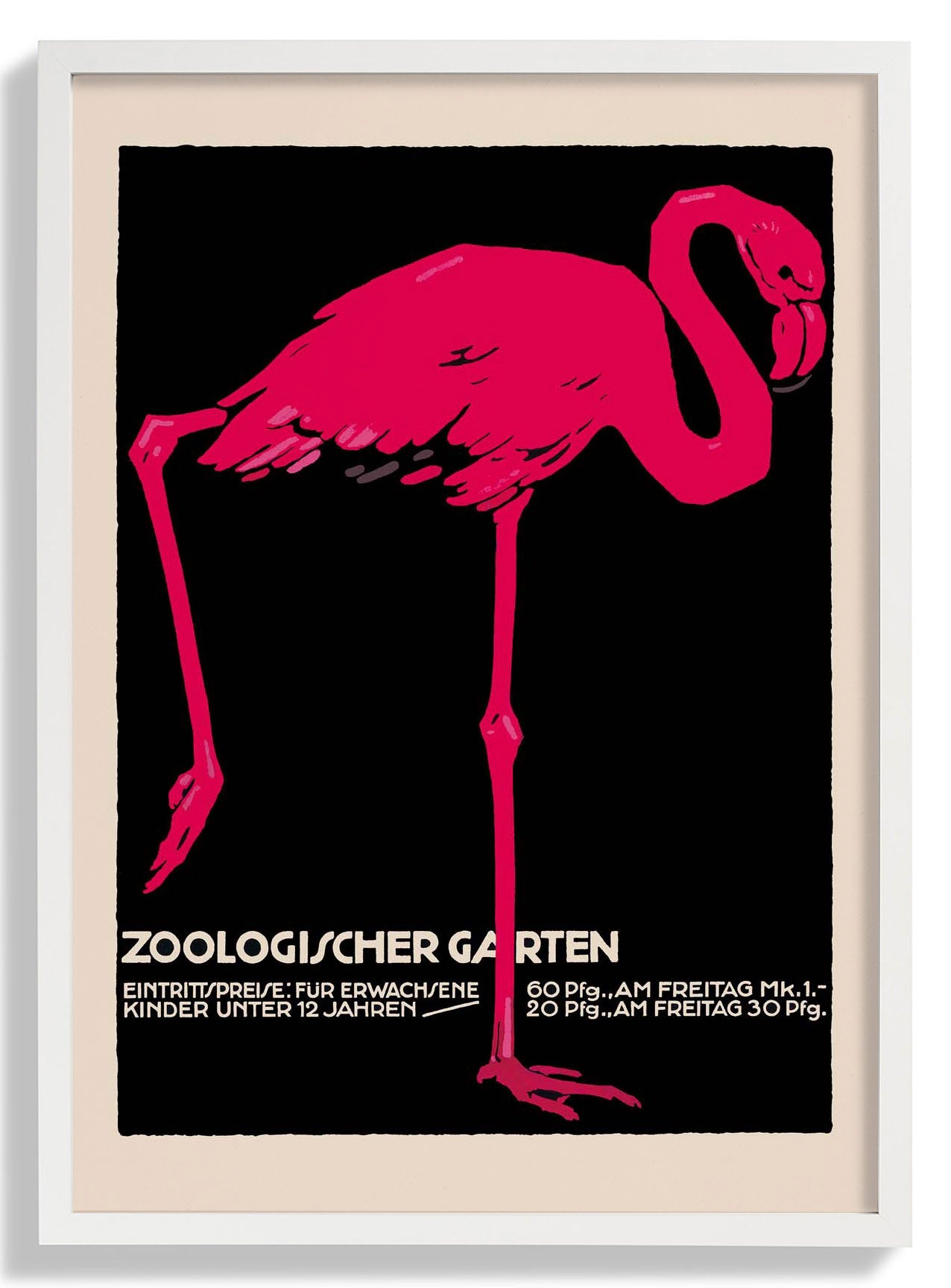 Zoologischer Garten Flamingo