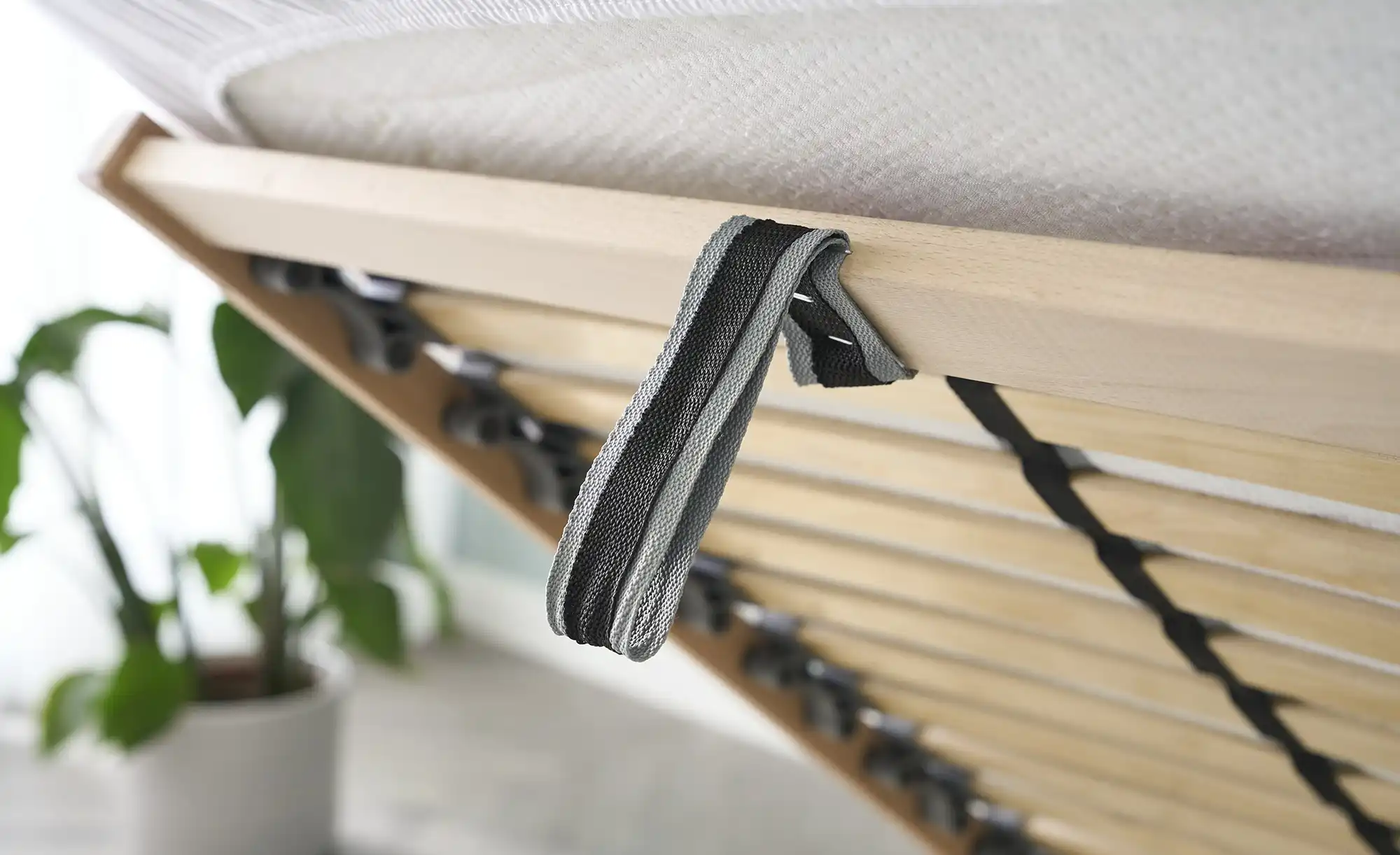 Polsterdoppelbett Derby