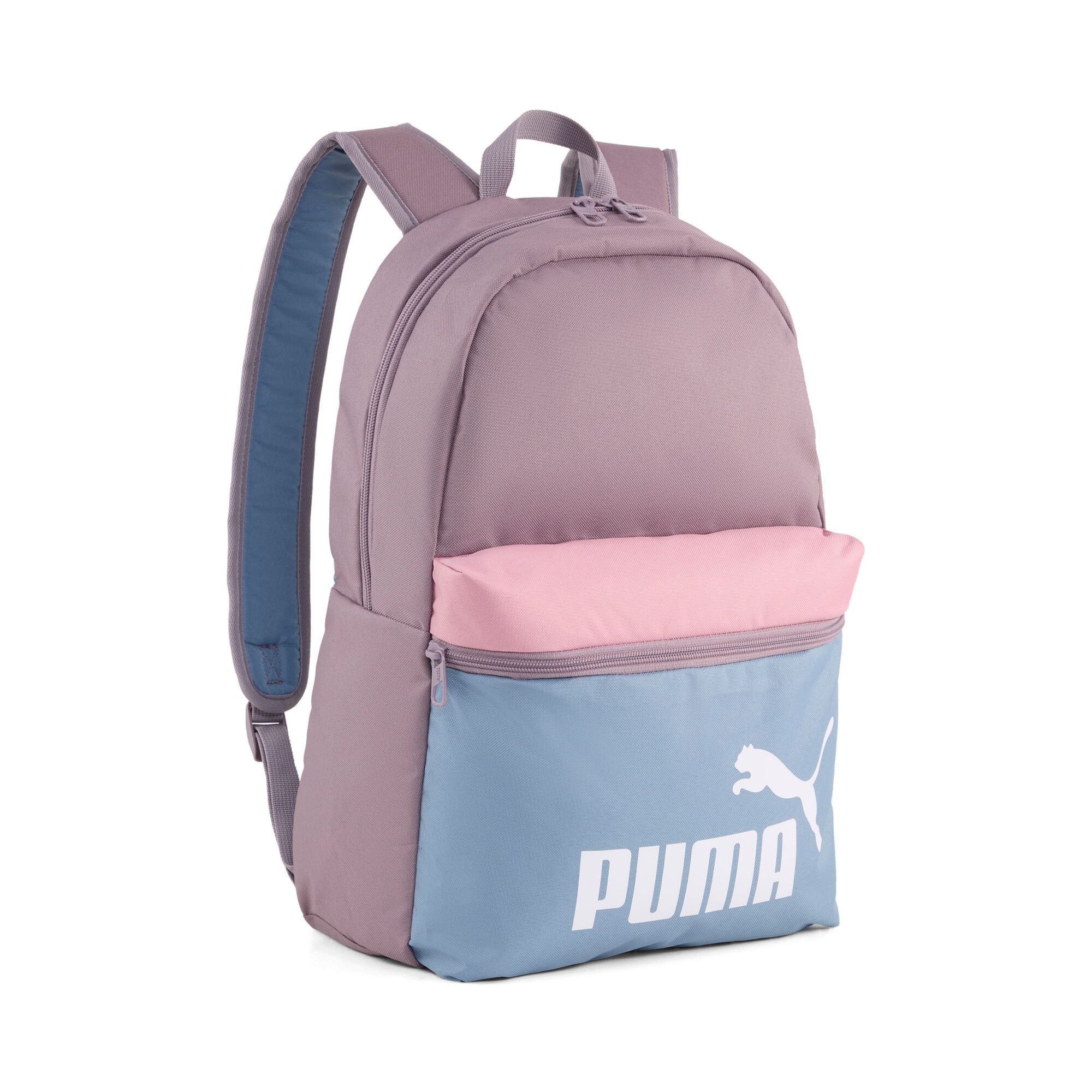 PUMA Rucksack »PHASE COLOR BLOCK BACKPACK«