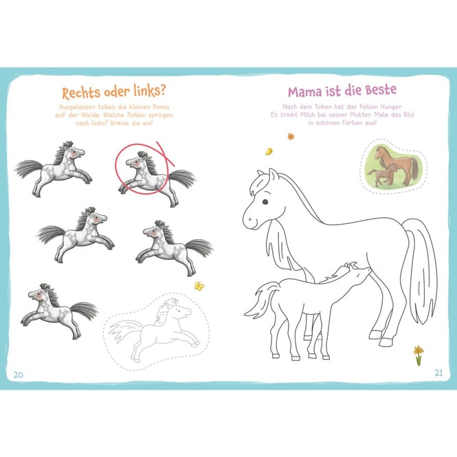 WAS IST WAS - Meine Welt - Mach mit! - Ponys