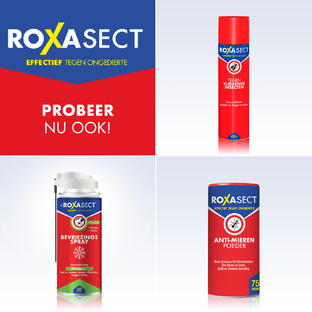 Roxasect Spuitbus Tegen Kruipende Insecten En Wespen 400ML