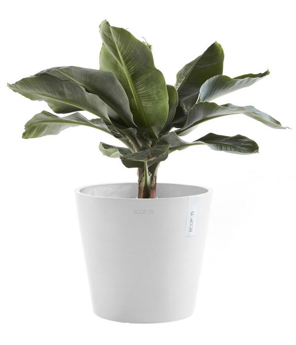Ecopots Kunststoff-Topf Amsterdam mit