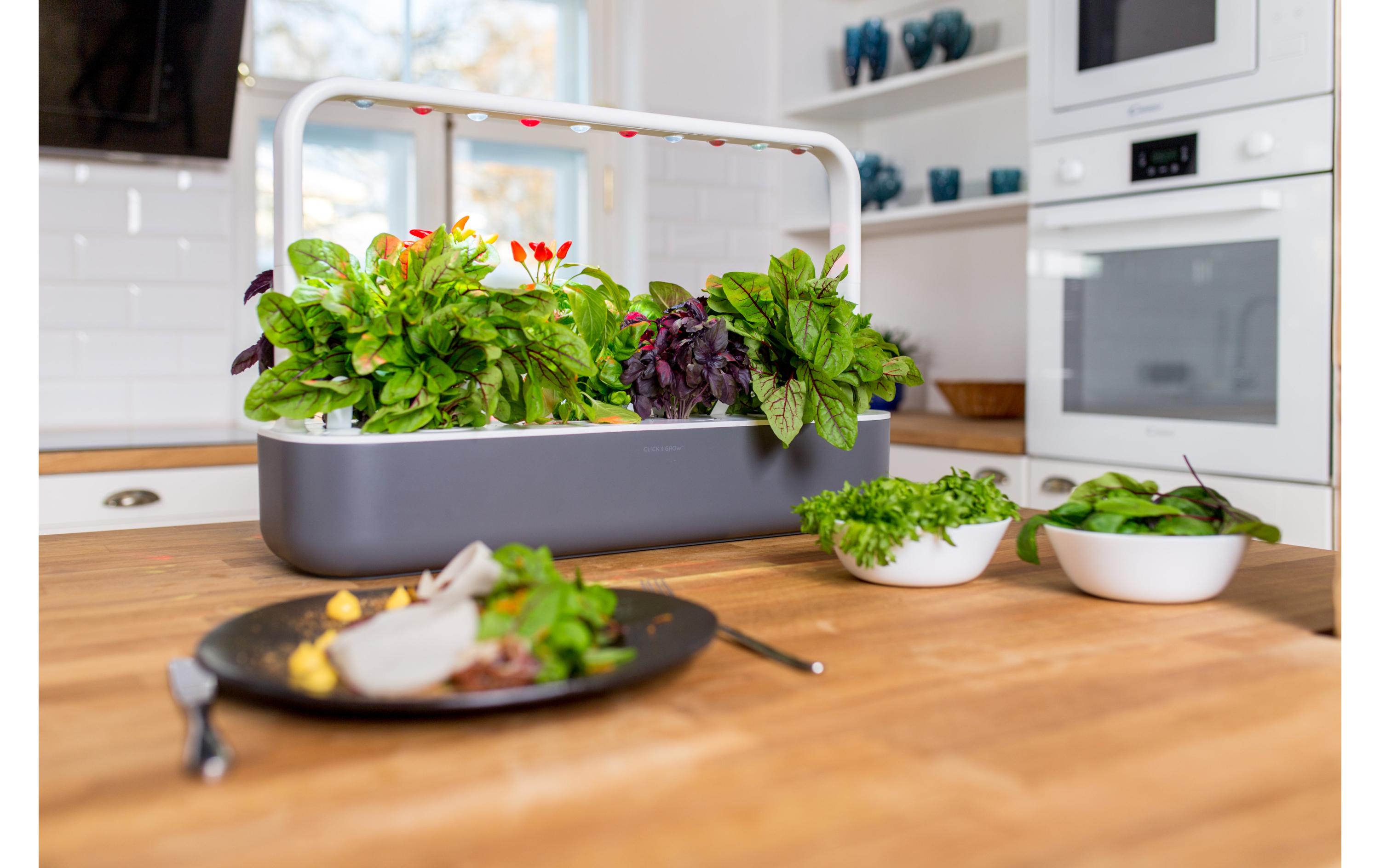 Kräutertopf Smart Garden 9 Dunkelgrau<br>Intelligentes Pflanzengefäss