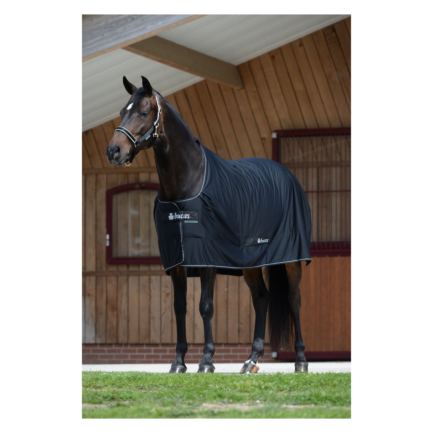 bucas Multifunktionsdecke Shamrock Power - black