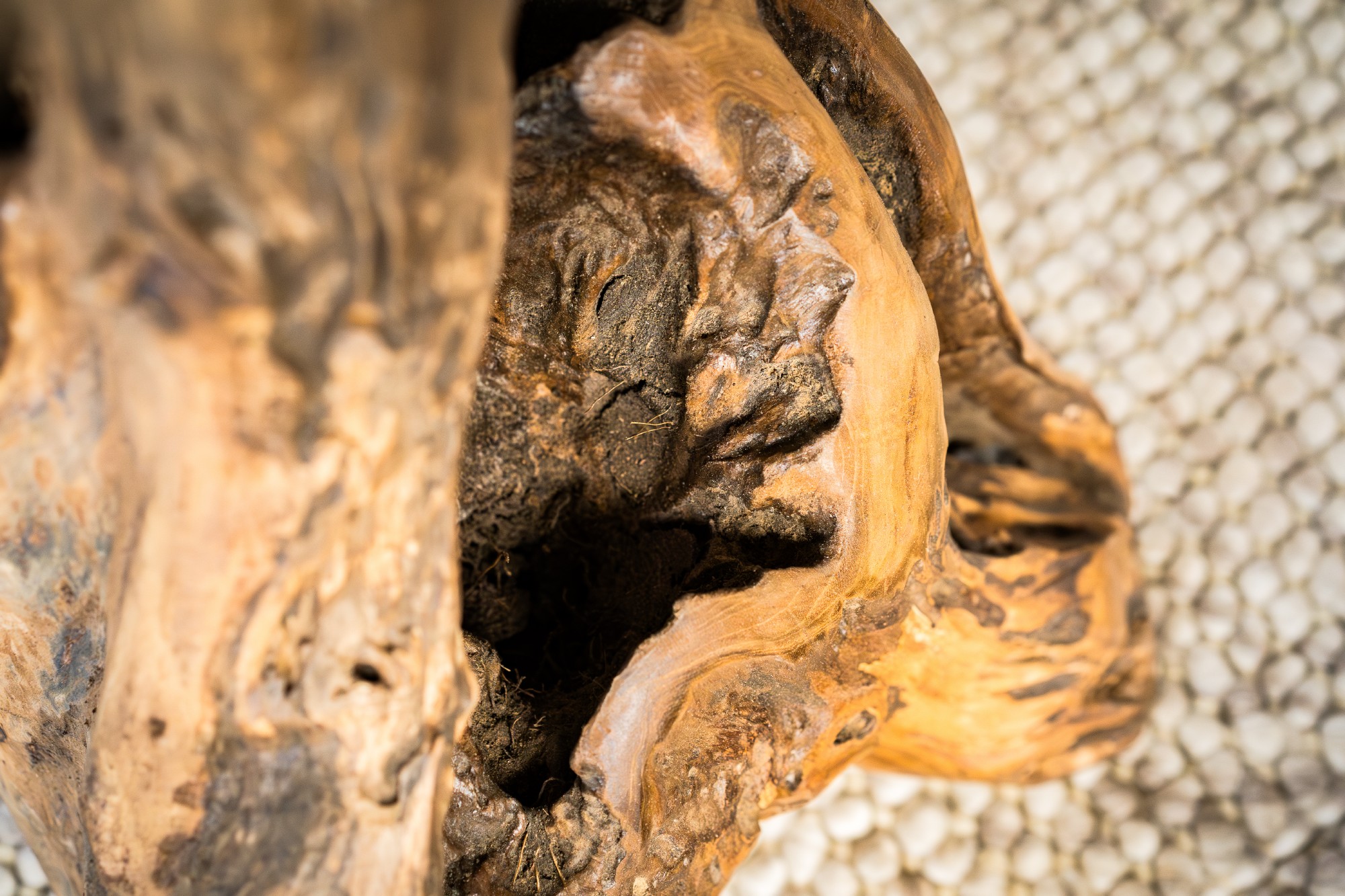 Wurzelholz-Barhocker 'Primitive', Teak natur, H 75 cm, Ø 45 cm von fischer's lagerhaus