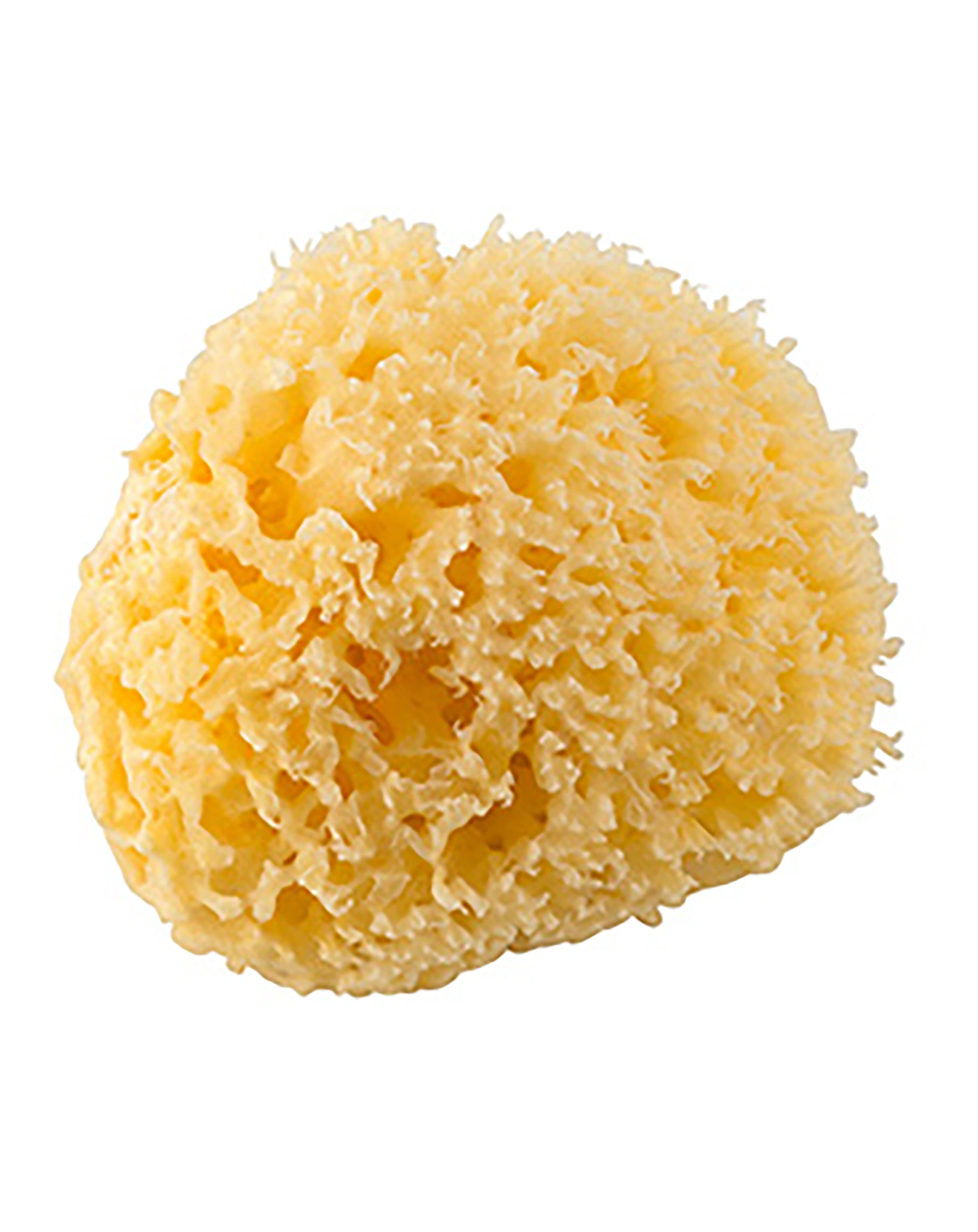 Naturschwamm MITTELMEER (9,5cm)