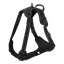 Hundesele M 38-75 cm / 38-61 cm