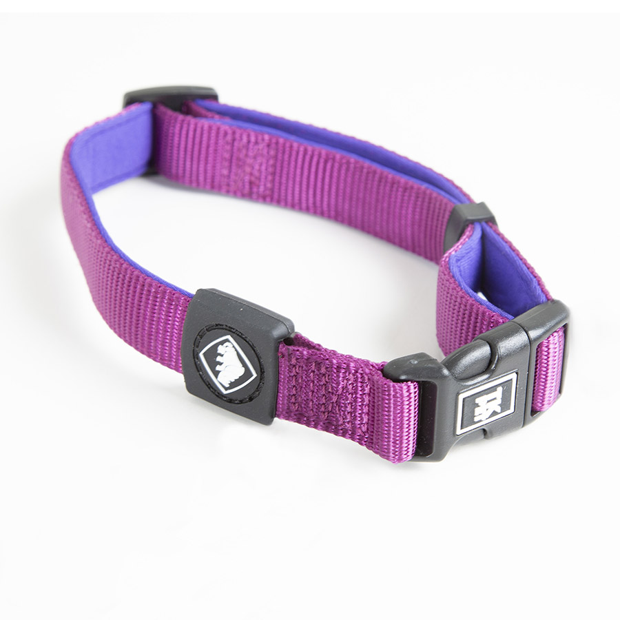 Coleira para cães TK-Pet Neo Classic em nylon roxo