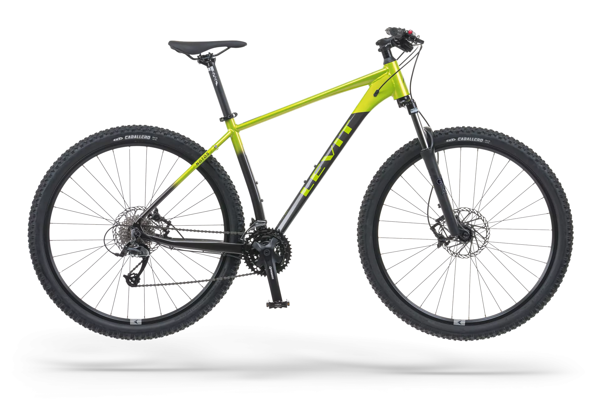 LEVIT NOTOS 7 29