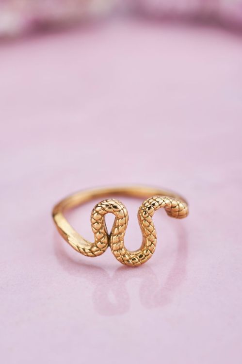 Ring met slang