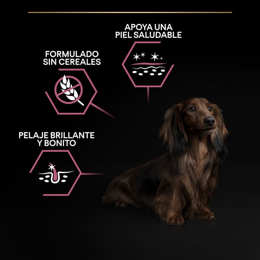 Ração Pro Plan Adult Small and Mini Salmon Sensitive Skin para cães