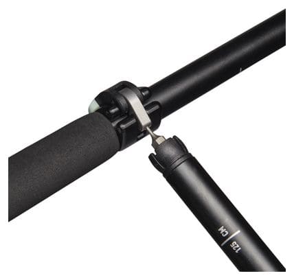 Bâtons de Randonnée Black Diamond Pursuit Flz Noir