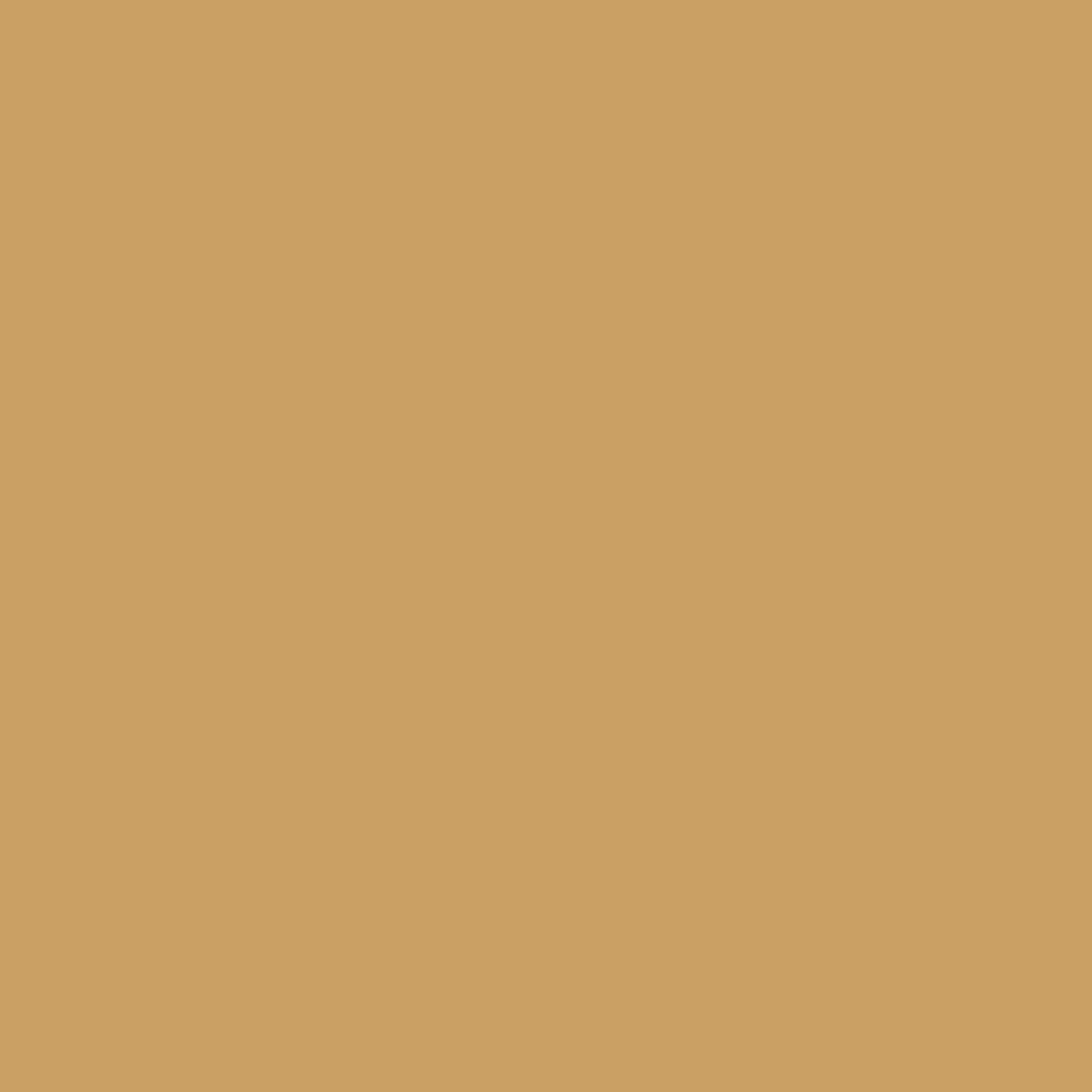 Graham & Brown Turmeric - Matte muurverf Testerpot 100ml