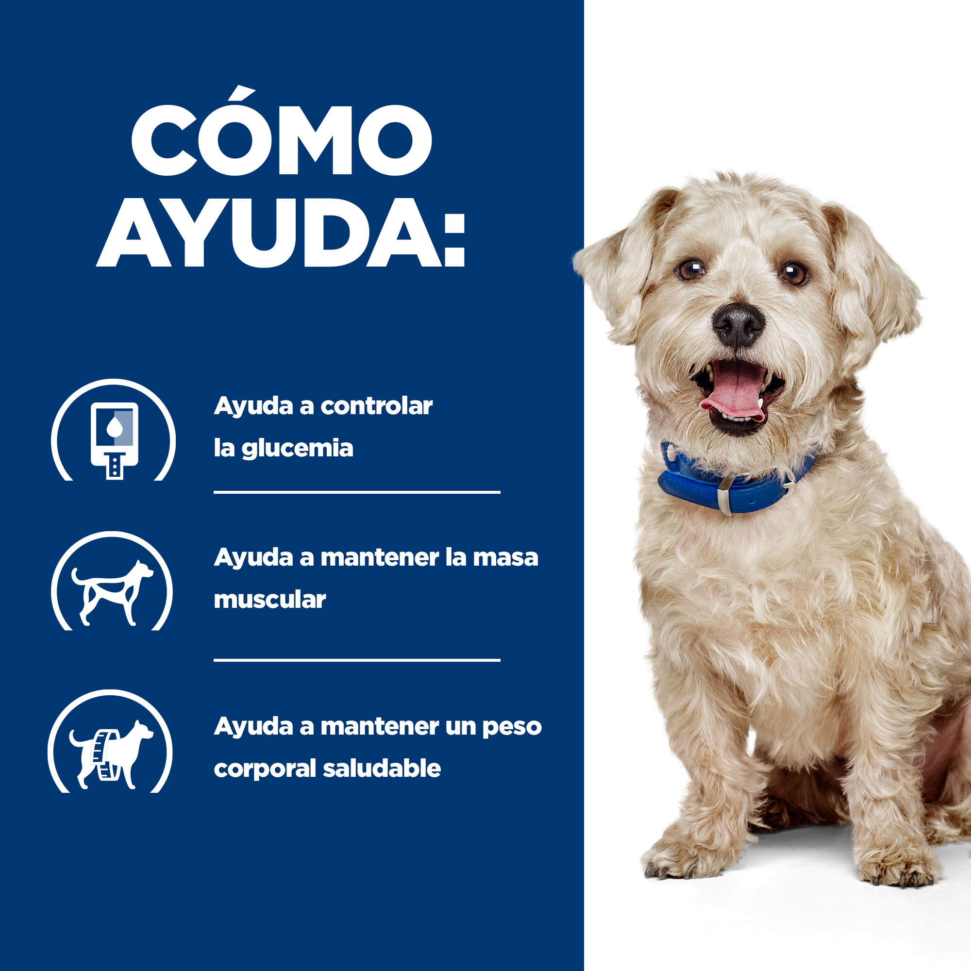 Ração para cães Hill's Prescription Diet Diabetes Care com frango