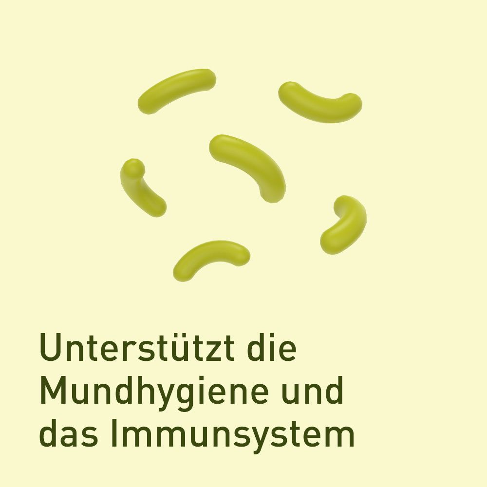 Nupure probadent - Lutschtabletten gegen Mundgeruch