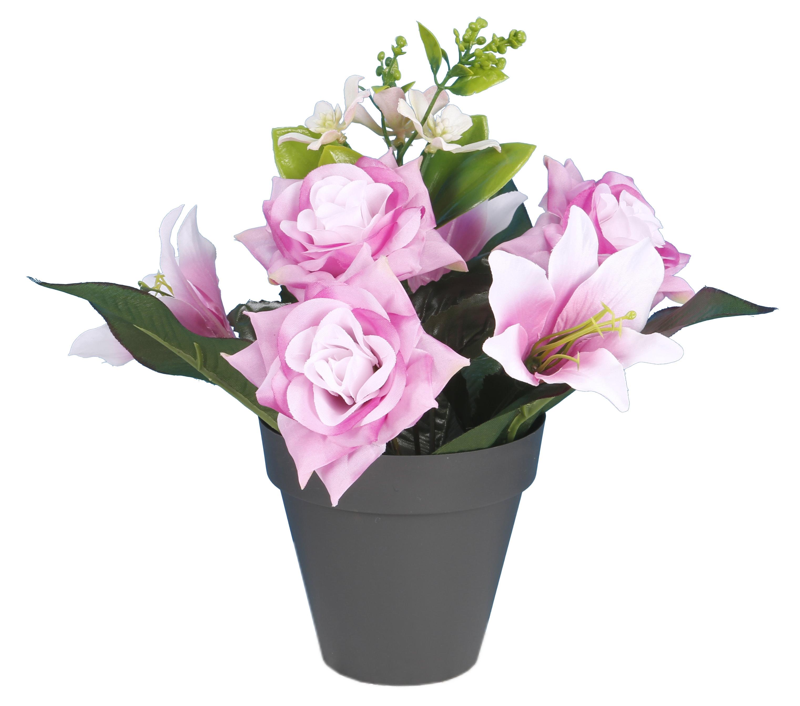 POT ROSETTES LILIUM