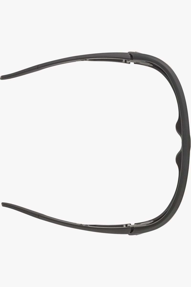 ALPINA Legend Sportbrille