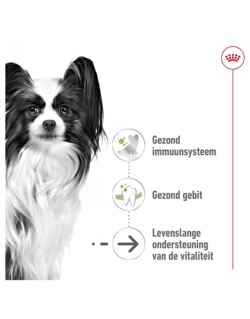 Royal Canin X-Small Ageing 12+ - Hondenvoer
