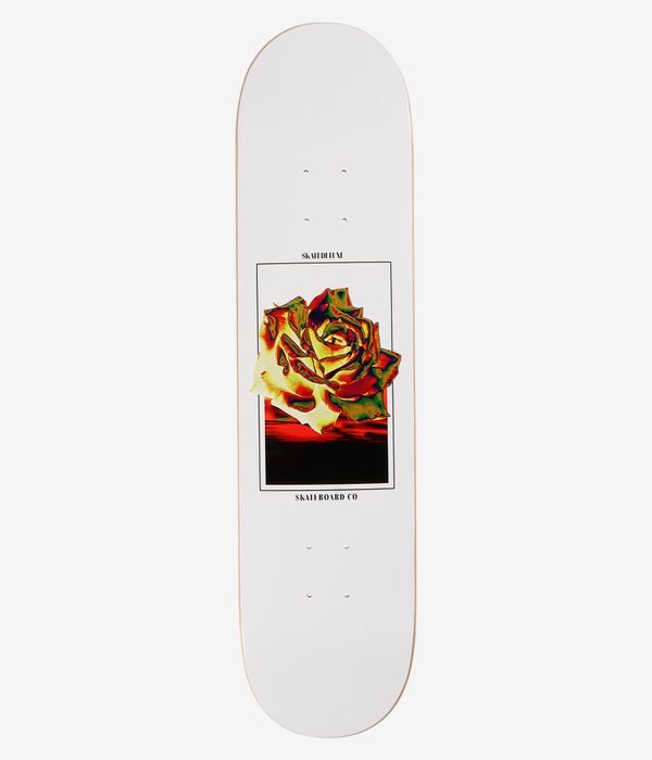 skatedeluxe Rose 7.75