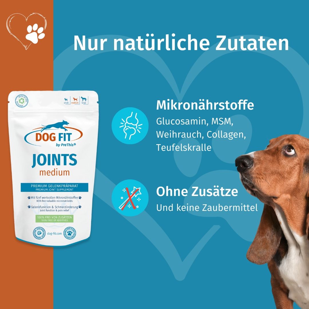 DOG FIT by PreThis® JOINTS » Natürliches Gelenkpräparat für Hunde (medium)