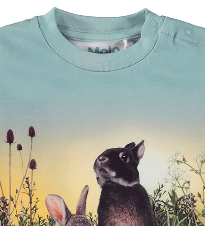 Molo Bluse - Eloy - Rabbit Life
